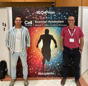 Bacteria found in the human intestine capable of improving muscle strength