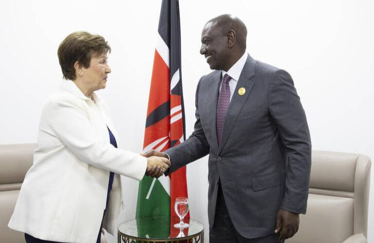 Why IMF is seeking immunity, removal from Sh13 trillion loan case