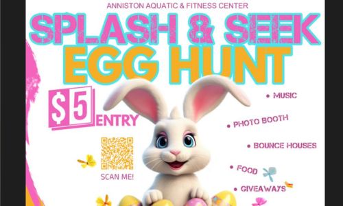 Splash and Seek Egg Hunt