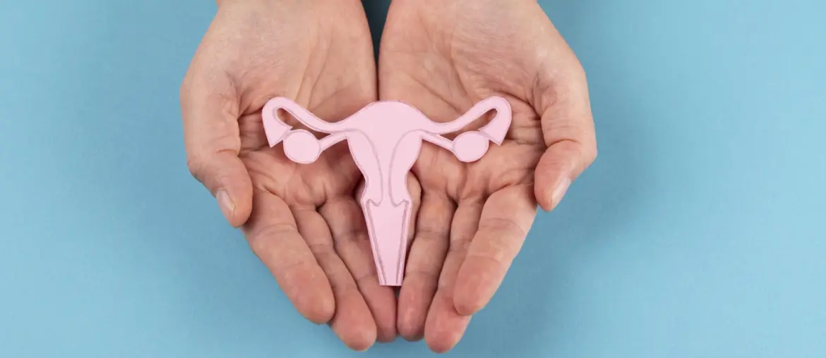 The uterus' immune system can regenerate after transplantation