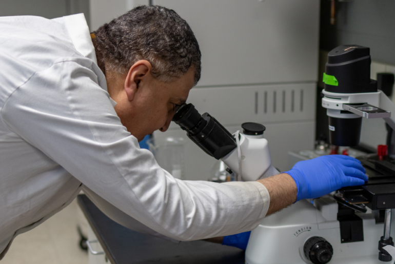 MSU Scientists Uncover How HPV-Positive Cancers Hide from the Immune System — and How to Make Them Visible Again