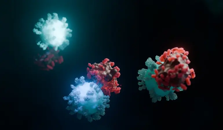 Immune cells are programmed within the body to fight cancer