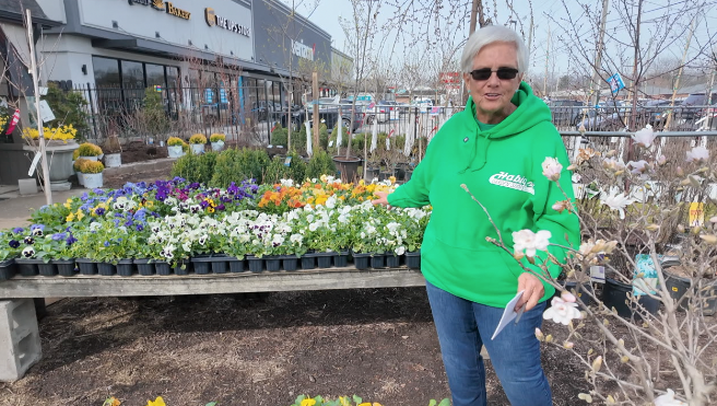 Screenshot 2026-03-20 at 5.19.14 PM.png