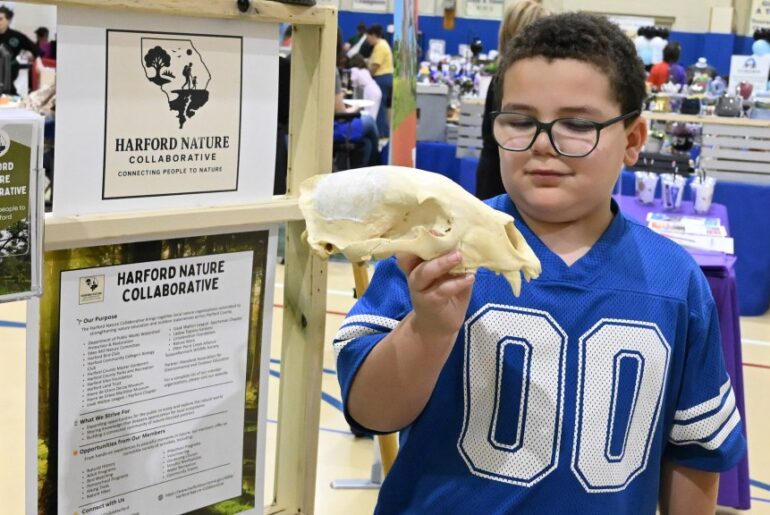 Spring Into Wellness Fair