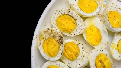 One egg fuels you with protein, healthy fats, choline for brain health, and antioxidants for sharp eyesight. (Freepik)