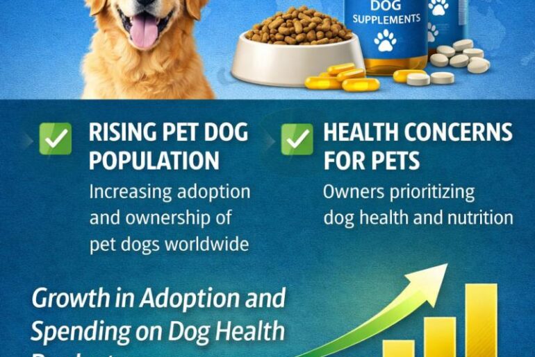 Dog Supplements Market Growth Fueled by Rising Demand