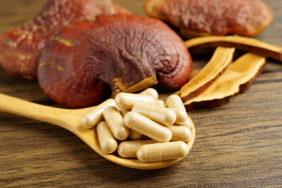 Mushroom supplements capsules