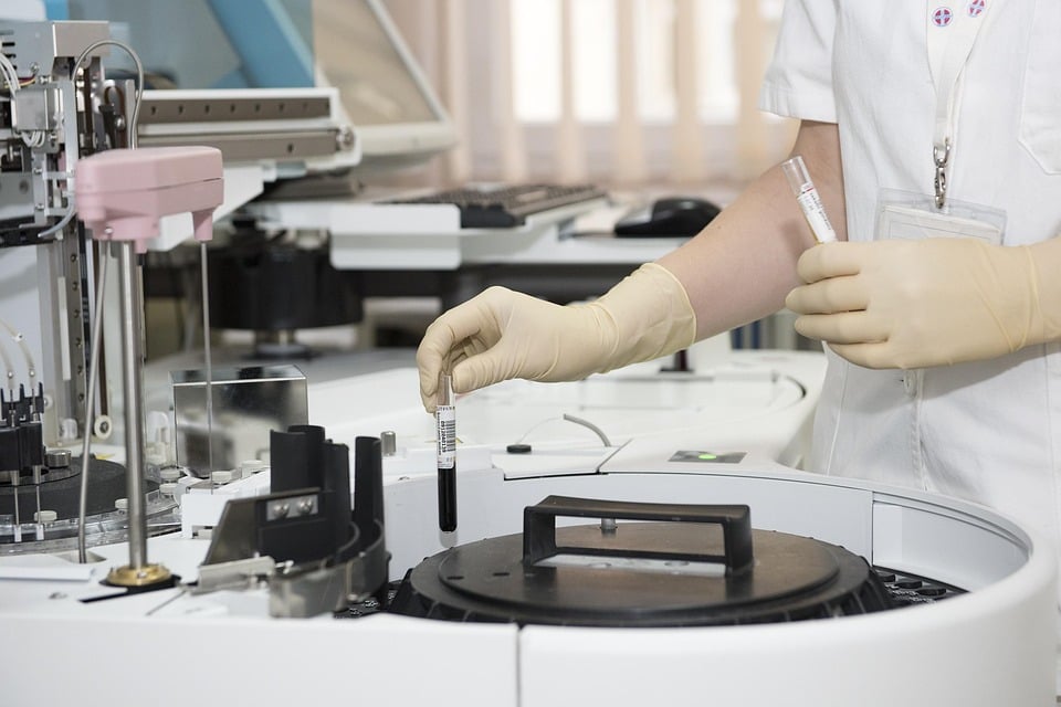 Immune Cells Hunt, Destroy Tumors in Mice Study