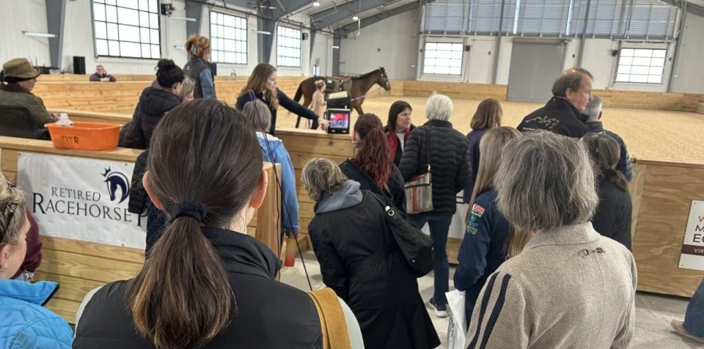 Off the track: Retired Racehorse Project launches Thoroughbred Wellness Expo at Equine Medical Center