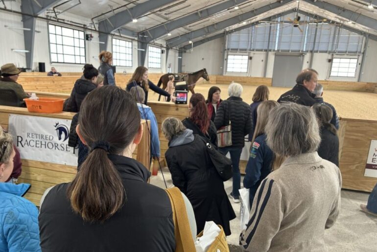 Off the track: Retired Racehorse Project launches Thoroughbred Wellness Expo at Equine Medical Center
