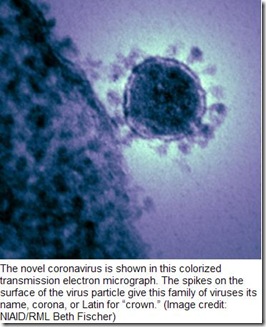 Post-pandemic Changes in Population Immunity Have Reduced the Likelihood of Emergence of Zoonotic Coronaviruses