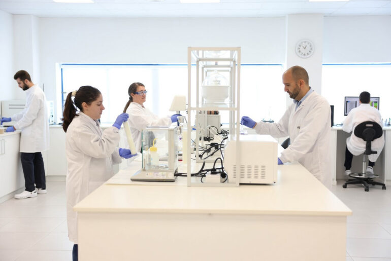 Sulfur's key role in plant nutrition