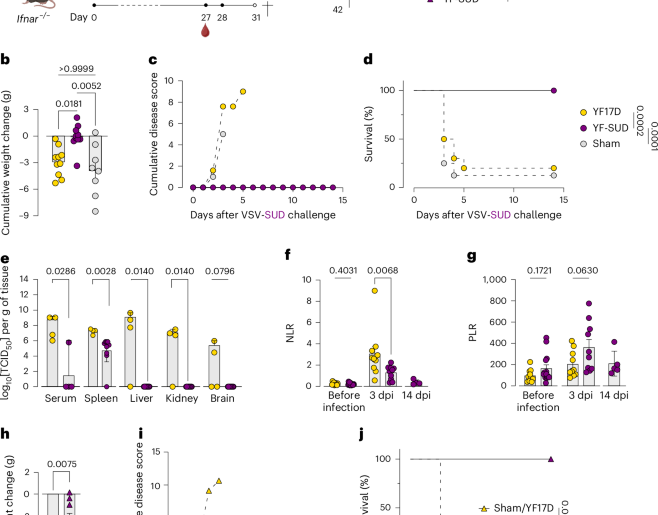 CD4+ T cell-mediated immunity protects from VSV-SUD lethal challenge in a mouse model of Sudan virus infection