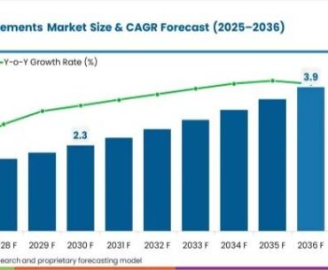 Postpartum Health Supplements Market to Reach USD 3.87 Billion