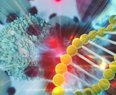 Large mapping of hereditary differences in the immune system