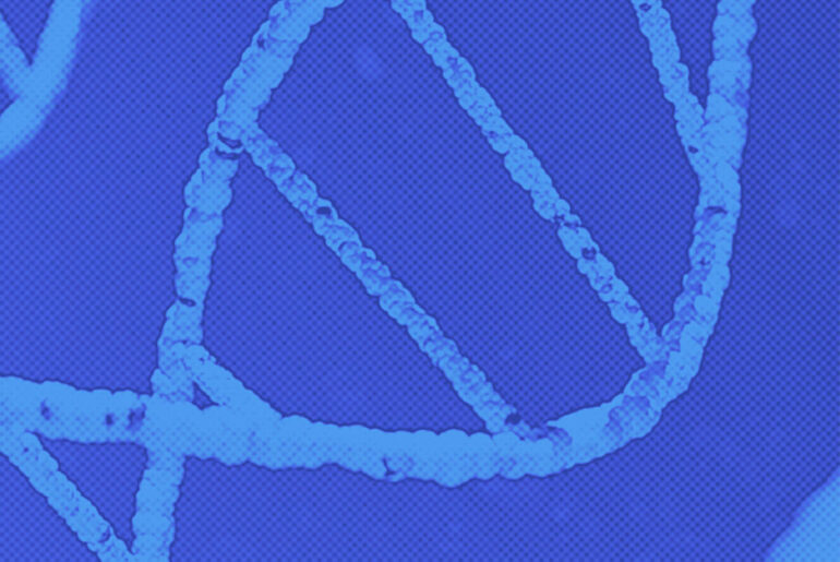 Single-Cell Study Unveils Immune Memory Insights