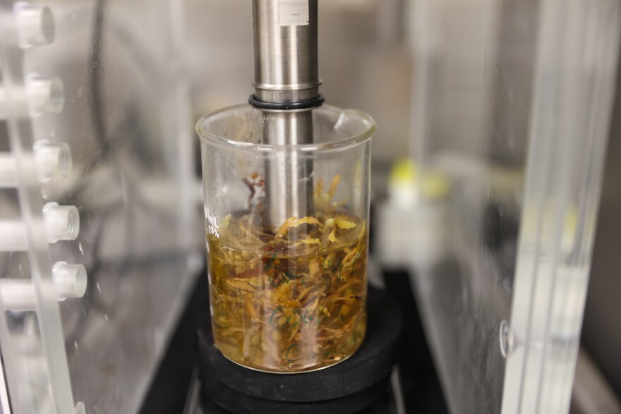 Researchers have found a way to extract alginate from sargassum. Alginate is a common ingredient in many sports drinks and gels.