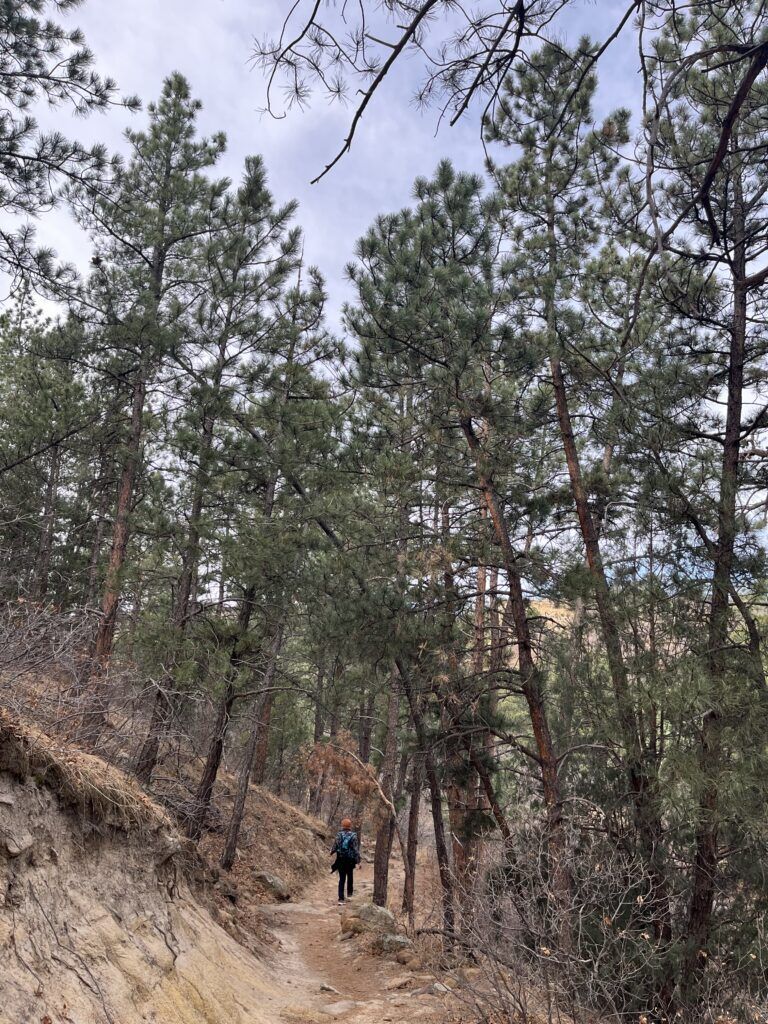 Edna Mae Bennett Nature Trail at Palmer Park in Colorado Springs. Seth Boster, The Gazette