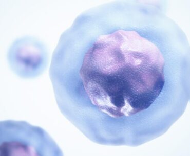 Previously unrecognized immune response could enhance defense against cancer