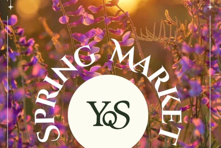 Yoga on State Spring Market: An Afternoon of Community and Wellness