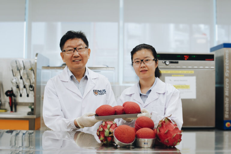 NUS scientists show dragon fruit peel extract boosts bread nutrition and lowers glycaemic potential