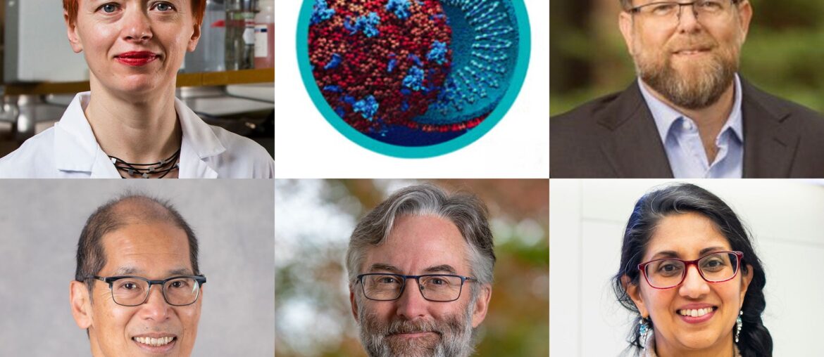 Breaking Down Silos to Advance Infection and Immunity Research