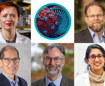 Breaking Down Silos to Advance Infection and Immunity Research