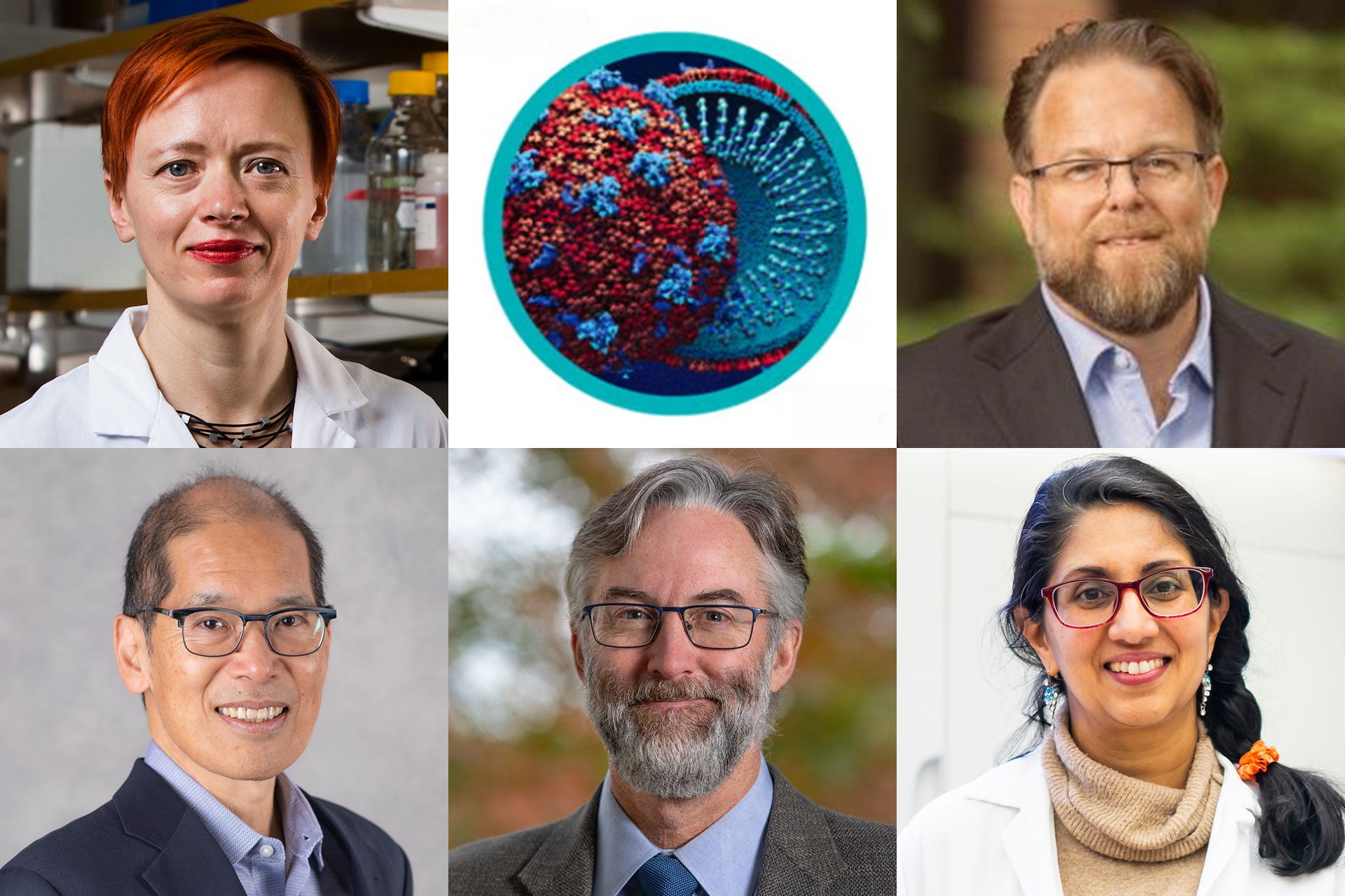 Breaking Down Silos to Advance Infection and Immunity Research