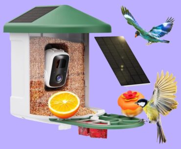 This Smart Bird Feeder is 57% off on Amazon