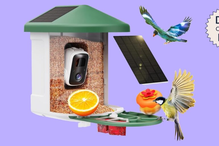 This Smart Bird Feeder is 57% off on Amazon