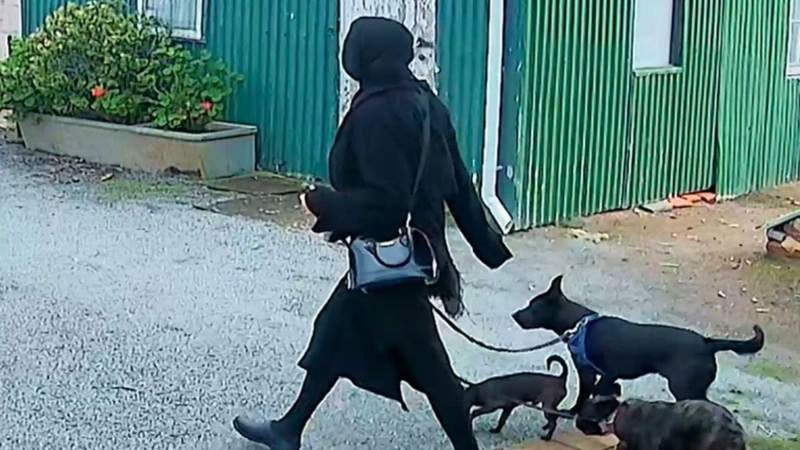 She was captured on CCTV footage taking her dogs for a walk.police.sa.gov