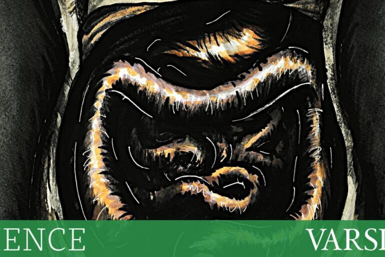 The parasite paradox: can worms improve our immune system?