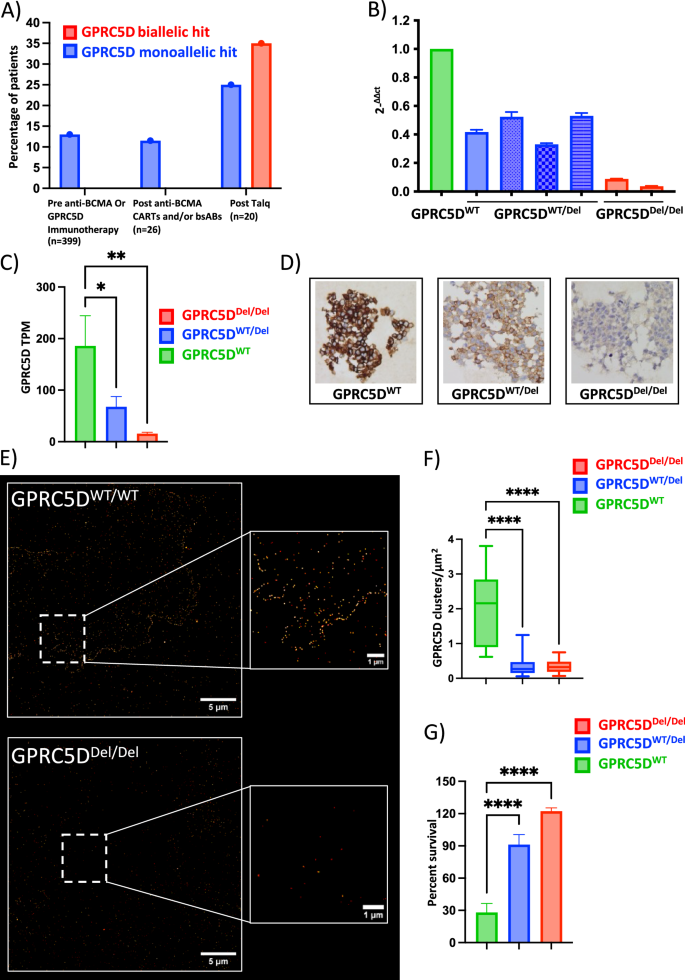Fig. 1: Spectrum of clinical GPRC5D alterations and functional characterization of GPRC5D-deficient in vitro models.