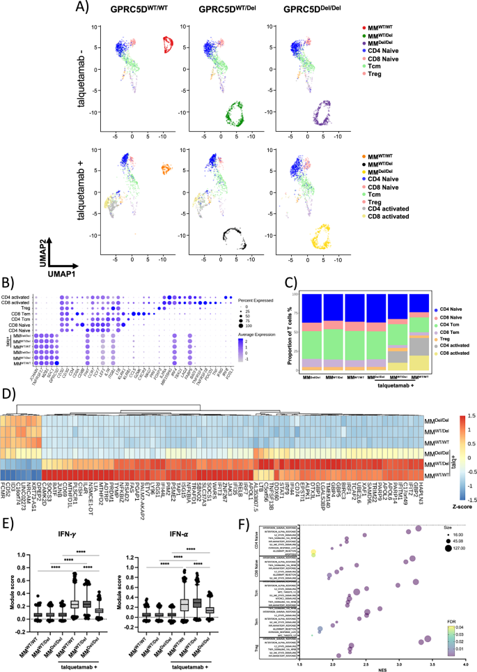 Fig. 4: Single-cell RNA-seq of cocultures to identify transcriptional T cell responses to talquetamab and GPRC5D.