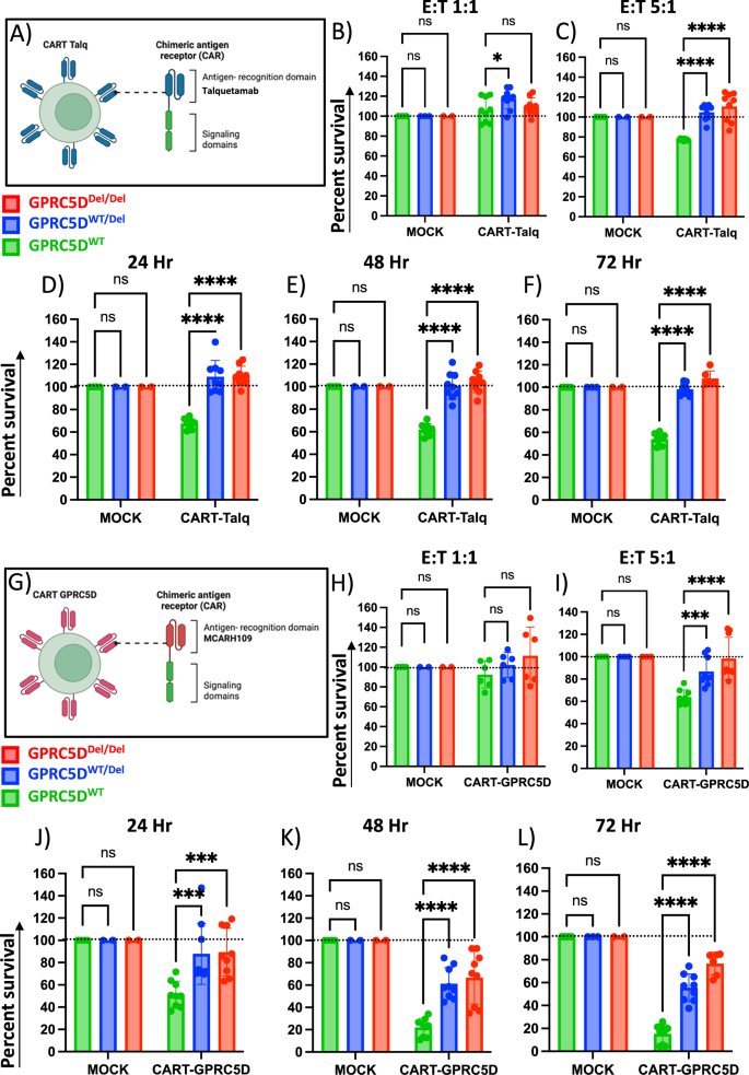 Fig. 6: Sensitivity of GPRC5D models towards anti-GPRC5D CAR-T cells.