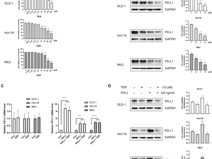 Teriflunomide modulates the PD-1/PD-L1 axis and enhances antitumor immunity in colorectal cancer