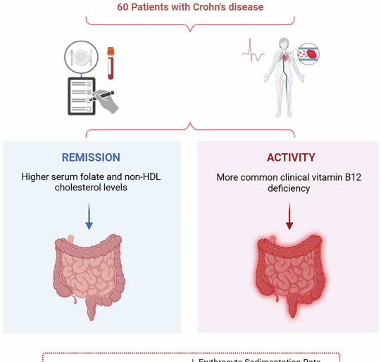 Evaluation of serum and dietary profiles of vitamin B12 and folate and their association with systemic complications in patients with Crohn’s disease