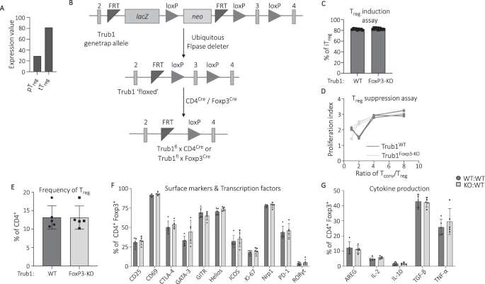 Trub1-mediated pseudouridylation is dispensable for immune cell development and homeostasis