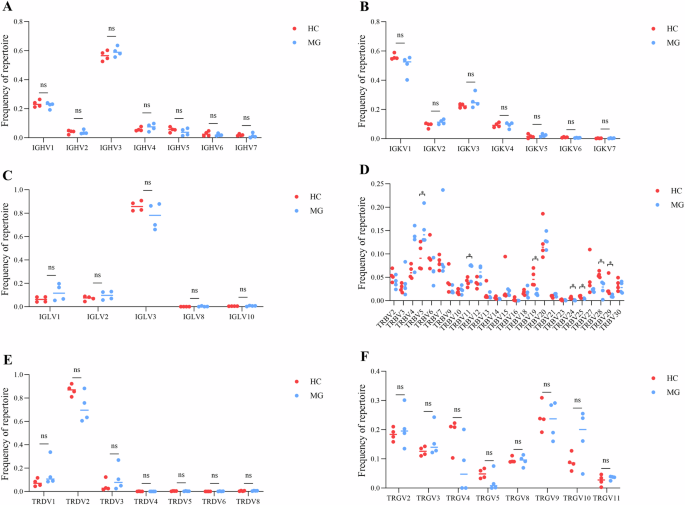 Longitudinal omics reveals immune repertoire remodeling in myasthenia gravis patients post-tacrolimus therapy