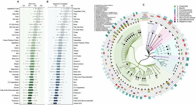 Fig. 4: XGBoost classifiers and regressor performance and feature importances.