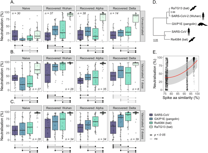 Post-pandemic changes in population immunity have reduced the likelihood of emergence of zoonotic coronaviruses
