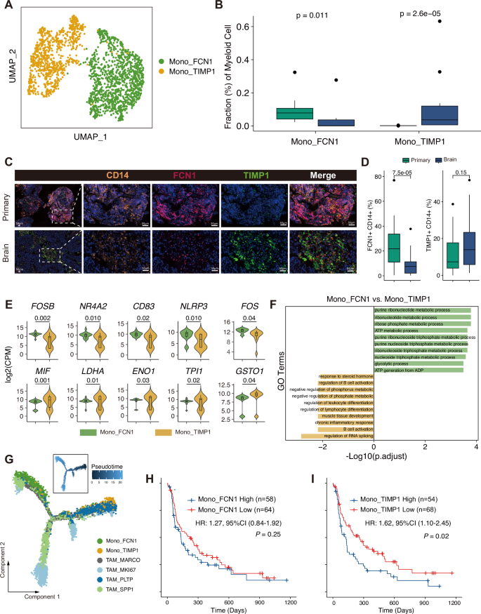 Fig. 5: Monocytes in BM and PT samples exhibit distinct functions and predict immunotherapy outcomes.