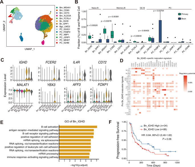 Fig. 7: Characterization of B and plasma cells in PT and BM reveals enrichment of naïve B cells in PTs.