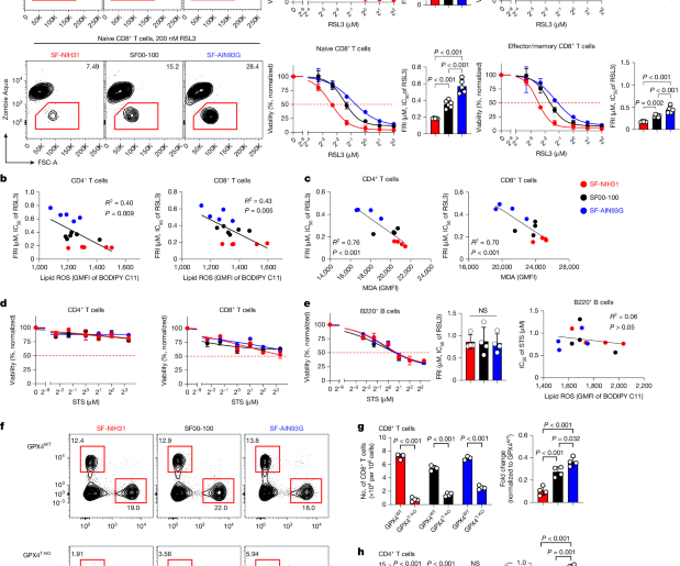 Lipid metabolism drives dietary effects on T cell ferroptosis and immunity