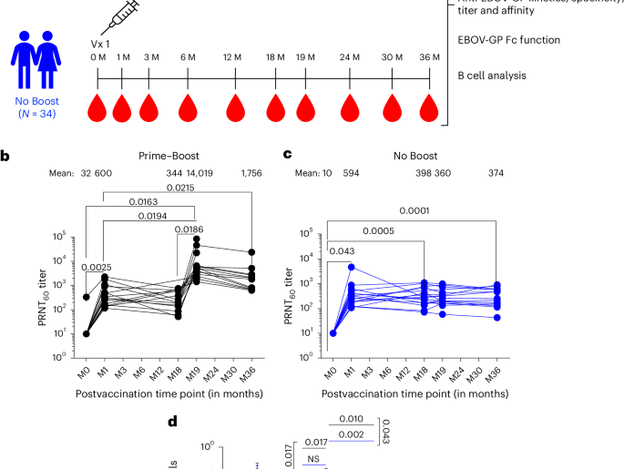 Fig. 1: Study design and neutralizing antibodies generated following first and second rVSV∆G-ZEBOV-GP vaccination.