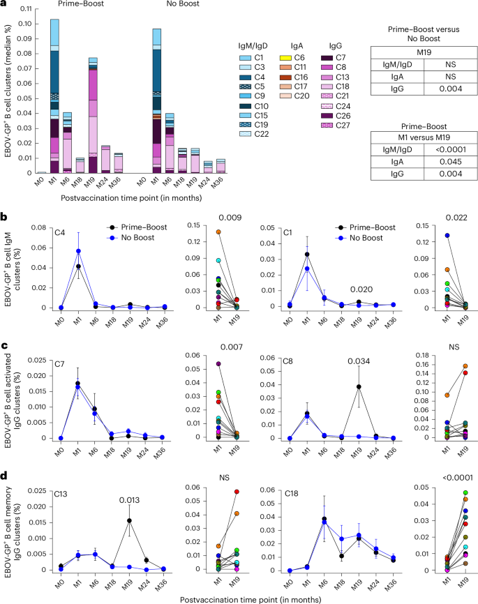 Fig. 4: EBOV-GP responses among B cell clusters.