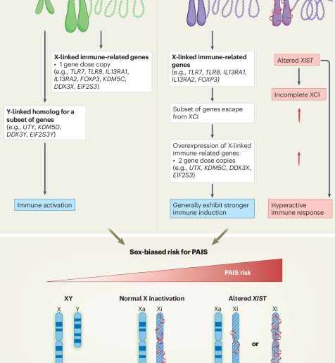 Sex differences in immune responses to viruses, bacteria and vaccines