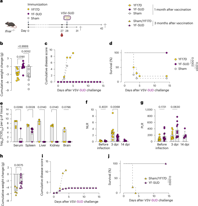 Fig. 1: YF-SUD protects against lethal challenge after immunization.