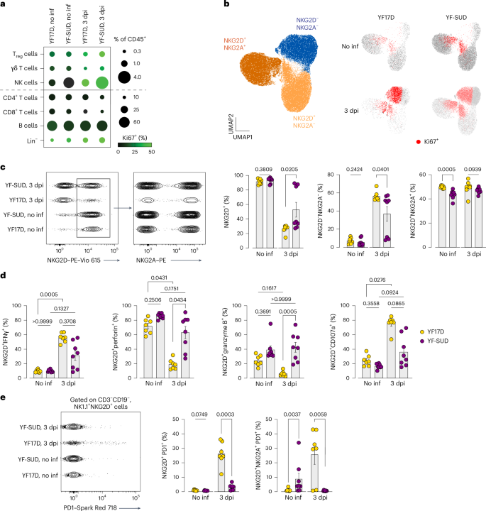Fig. 3: Distinct NK cell proliferation and activation in YF17D-vaccinated and YF-SUD-vaccinated mice.
