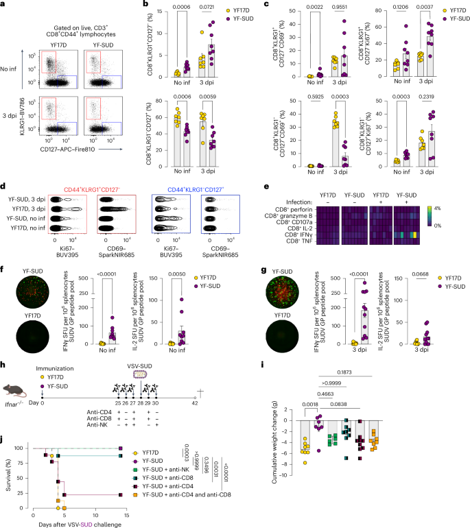Fig. 4: YF-SUD activates cytotoxic cells in an antigen-specific way but NK cells and CD8+ T cells are not sufficient for protection.